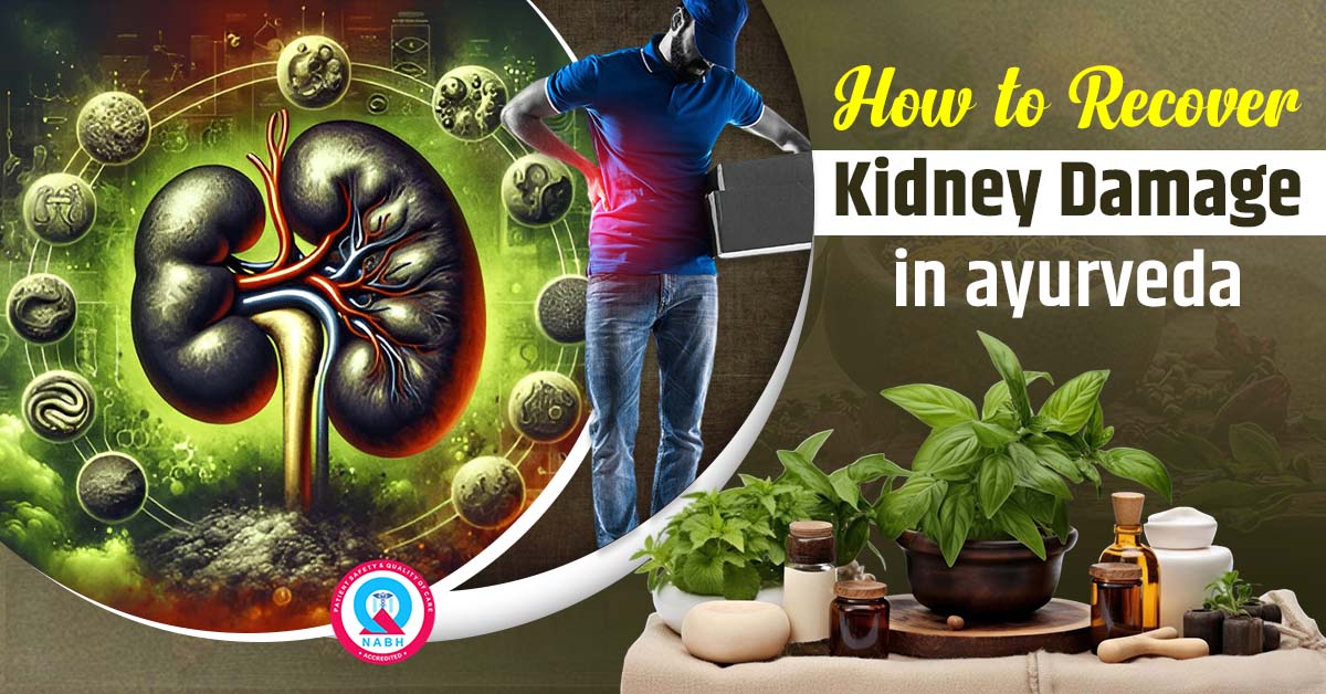how-to-recover-kidney-damage-in-ayurveda